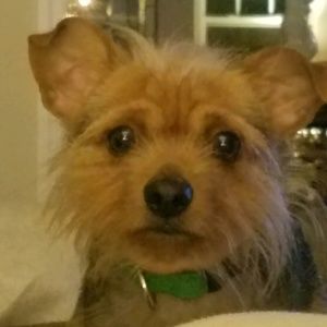 Meet your Posher, Debby